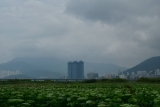 구포동,,
