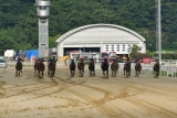 부경경마장,