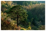 설악산 추경