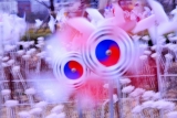 바람개비