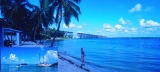 미국여행 - Key West