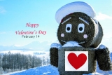 Happy Valentine