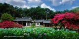 경주 종오정여름