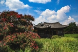 경주서출지여름